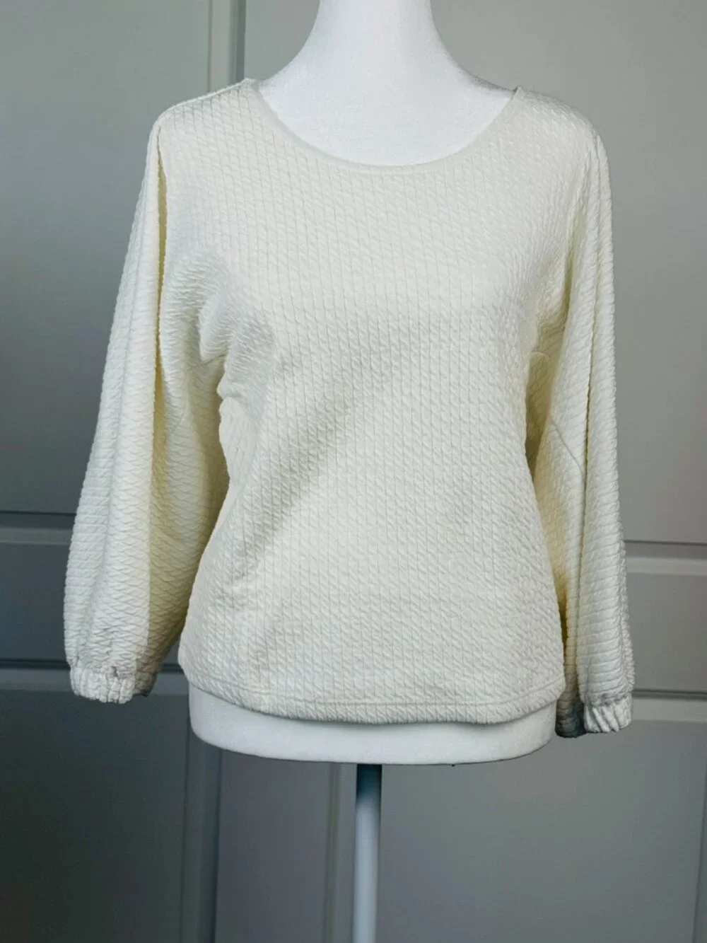 ANTHROPOLOGIE Arya Ivory Textured Top Balloon Puff Sleeves, Size Small